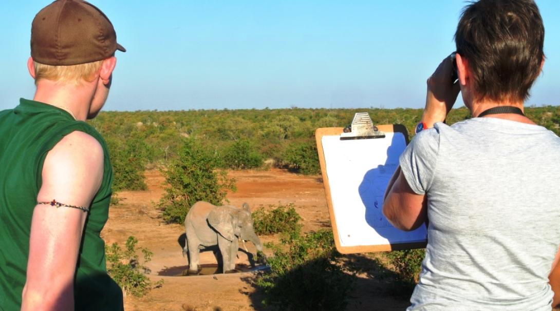 Conservation volunteers monitoring elephant populations in Botswana